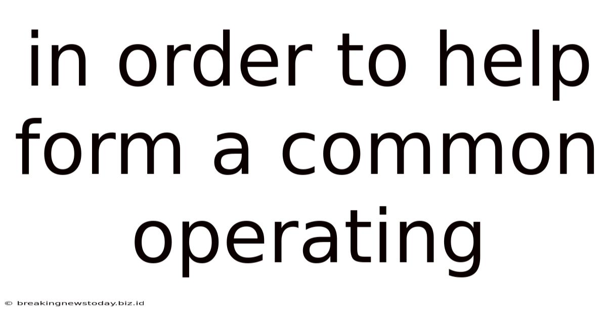 In Order To Help Form A Common Operating