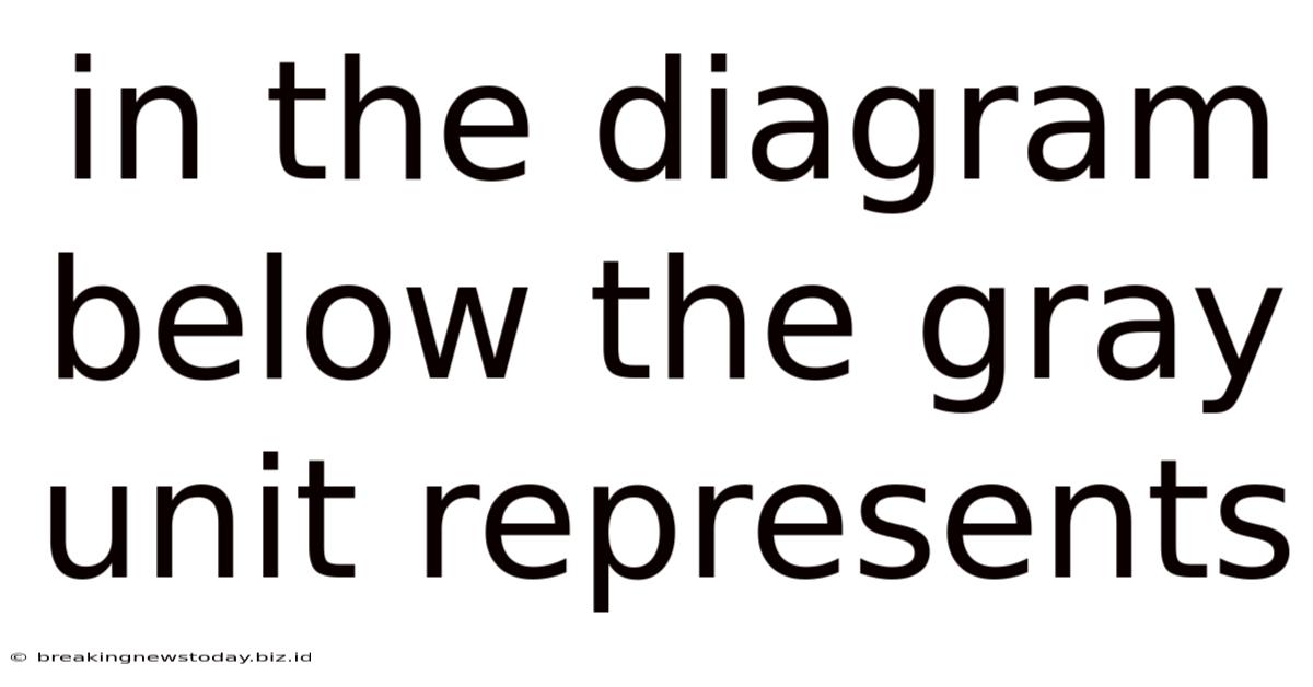 In The Diagram Below The Gray Unit Represents