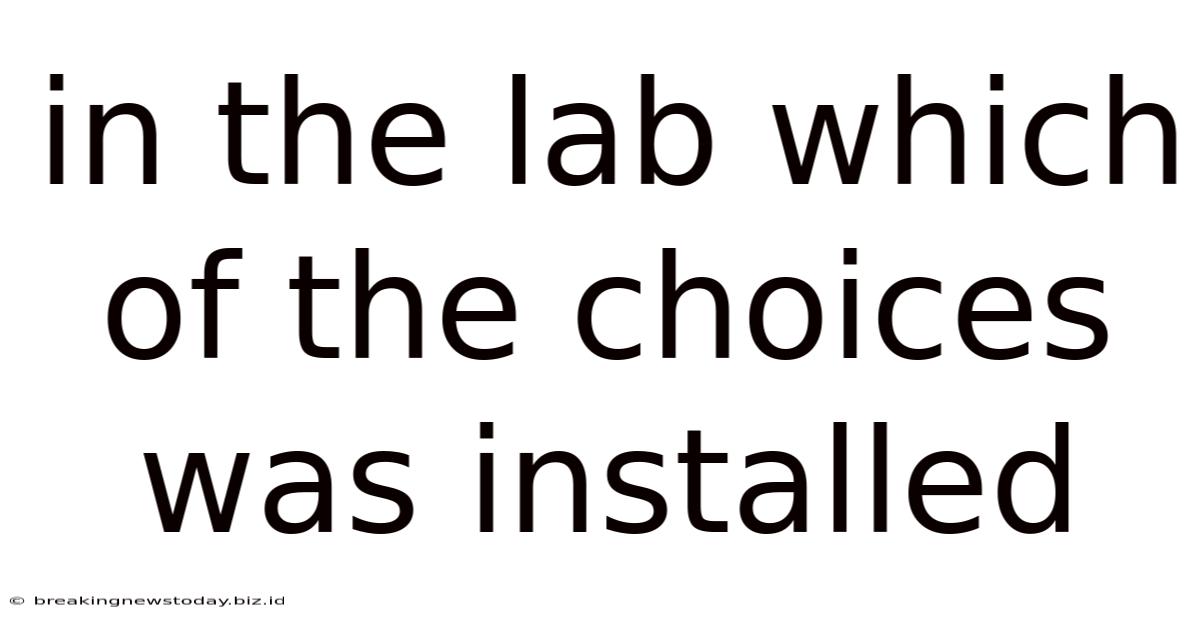 In The Lab Which Of The Choices Was Installed
