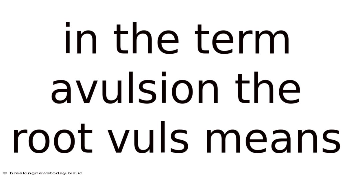 In The Term Avulsion The Root Vuls Means