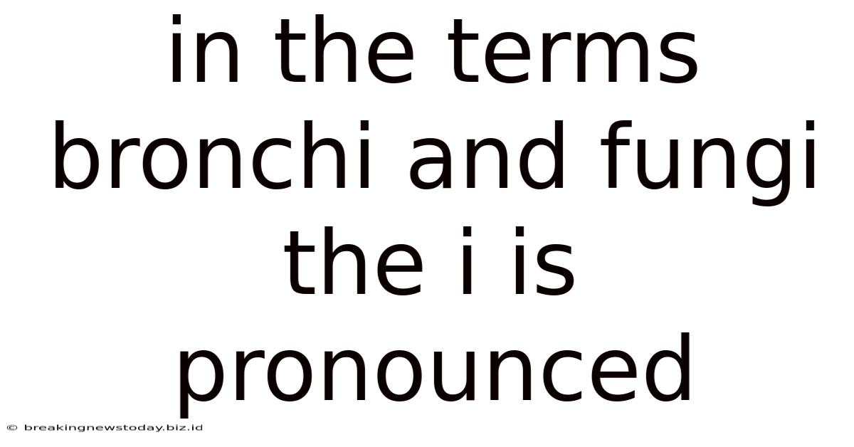In The Terms Bronchi And Fungi The I Is Pronounced