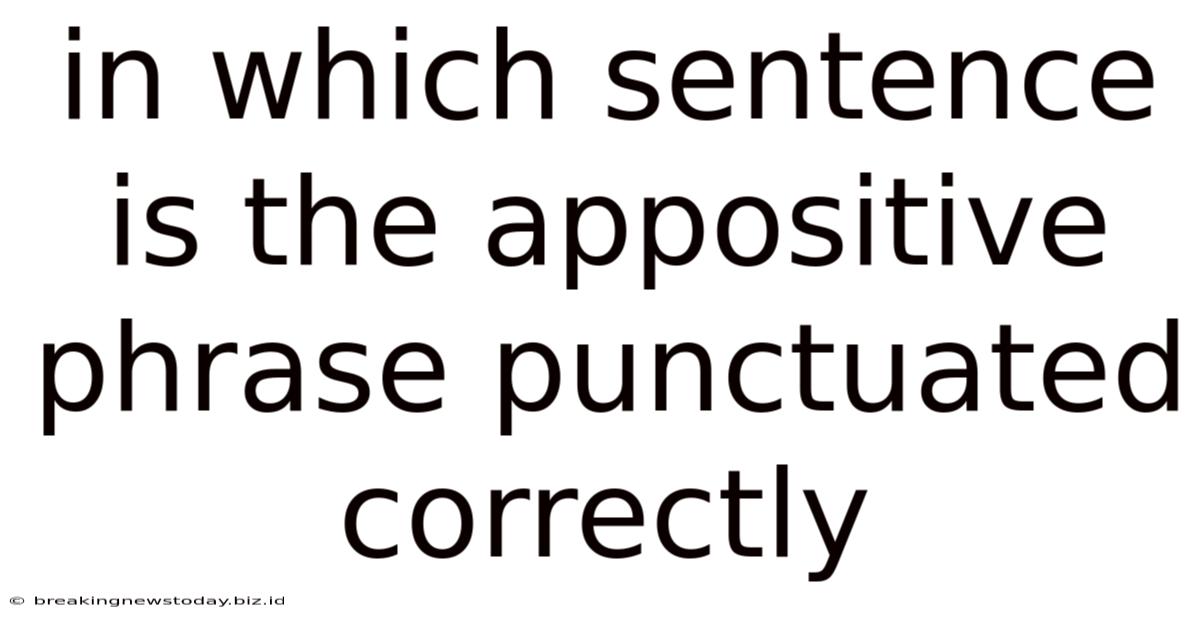 In Which Sentence Is The Appositive Phrase Punctuated Correctly