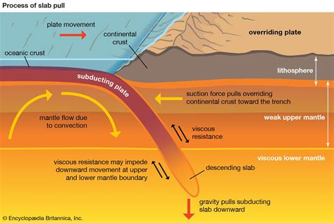 In Which Setting Would Regional Metamorphism Be Most Likely