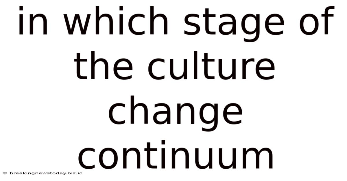 In Which Stage Of The Culture Change Continuum