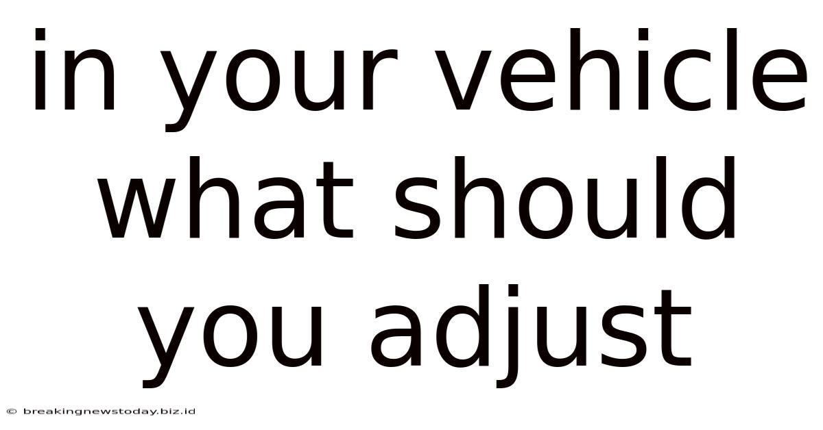 In Your Vehicle What Should You Adjust