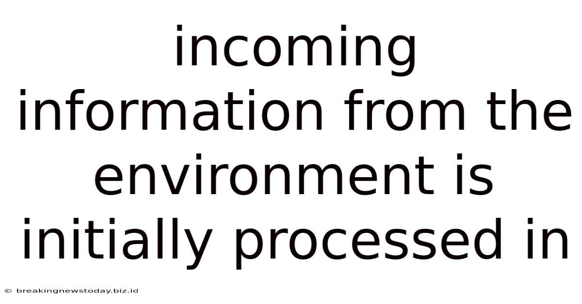 Incoming Information From The Environment Is Initially Processed In