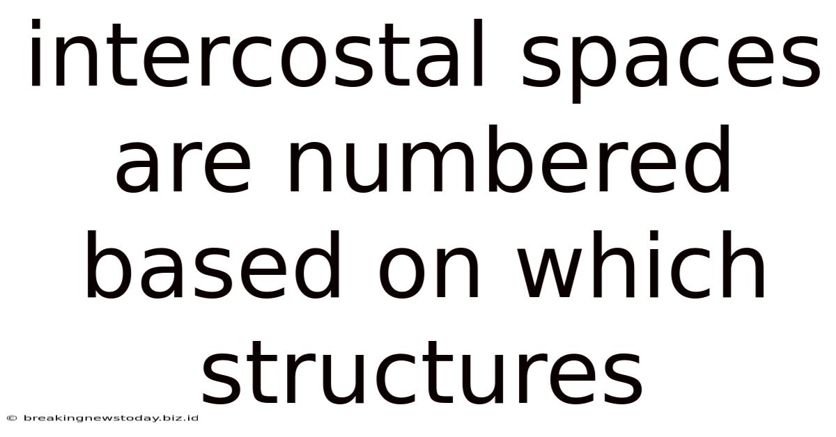 Intercostal Spaces Are Numbered Based On Which Structures