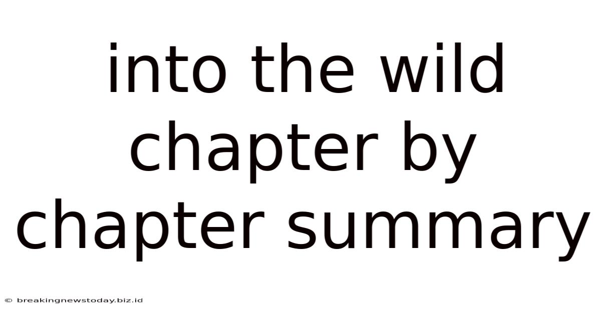 Into The Wild Chapter By Chapter Summary