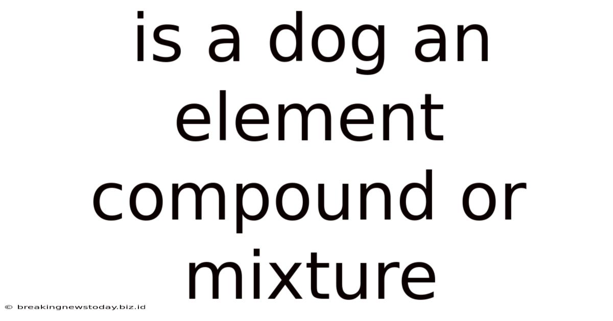 Is A Dog An Element Compound Or Mixture