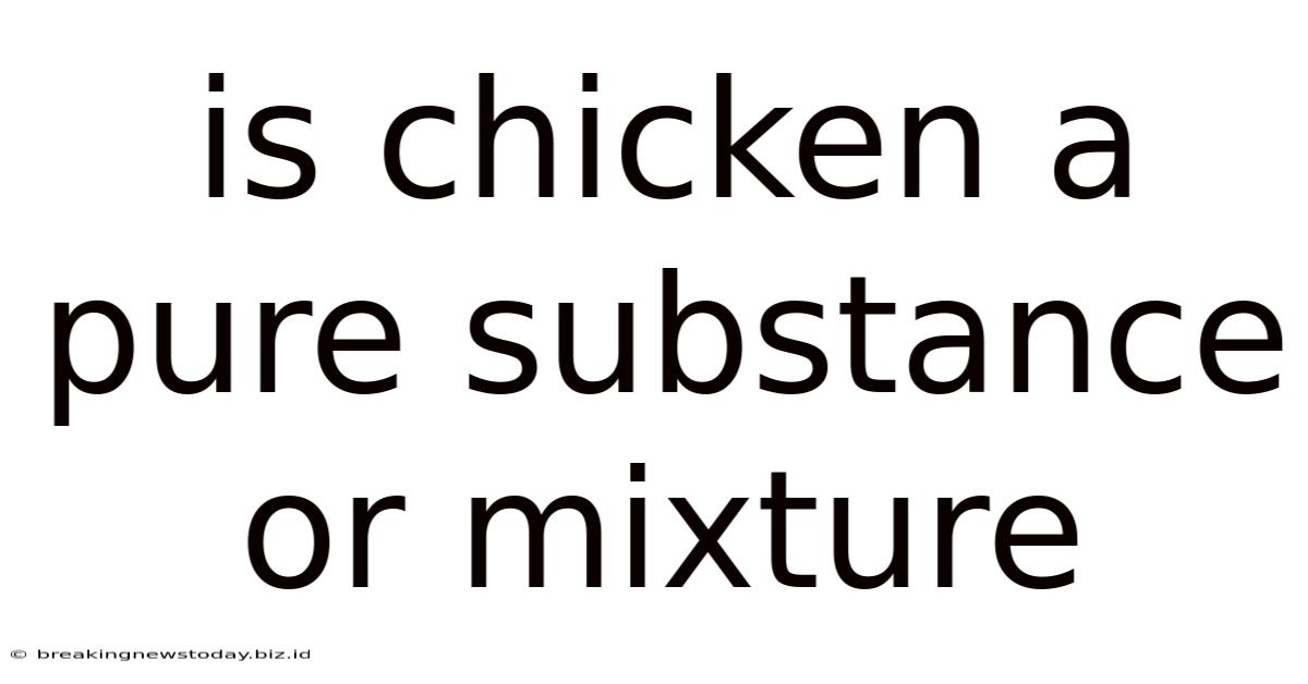 Is Chicken A Pure Substance Or Mixture
