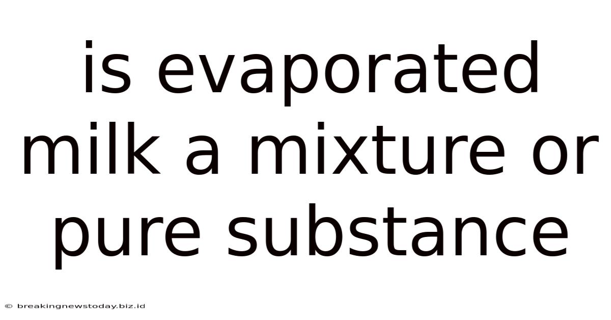 Is Evaporated Milk A Mixture Or Pure Substance