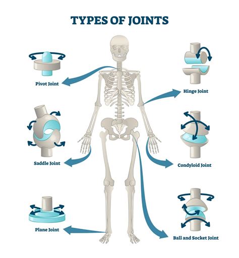 Joints All Move In The Same Way