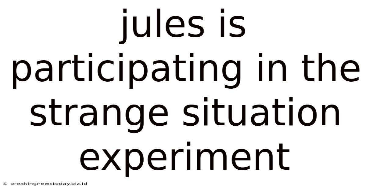 Jules Is Participating In The Strange Situation Experiment
