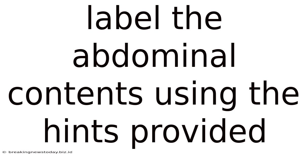 Label The Abdominal Contents Using The Hints Provided