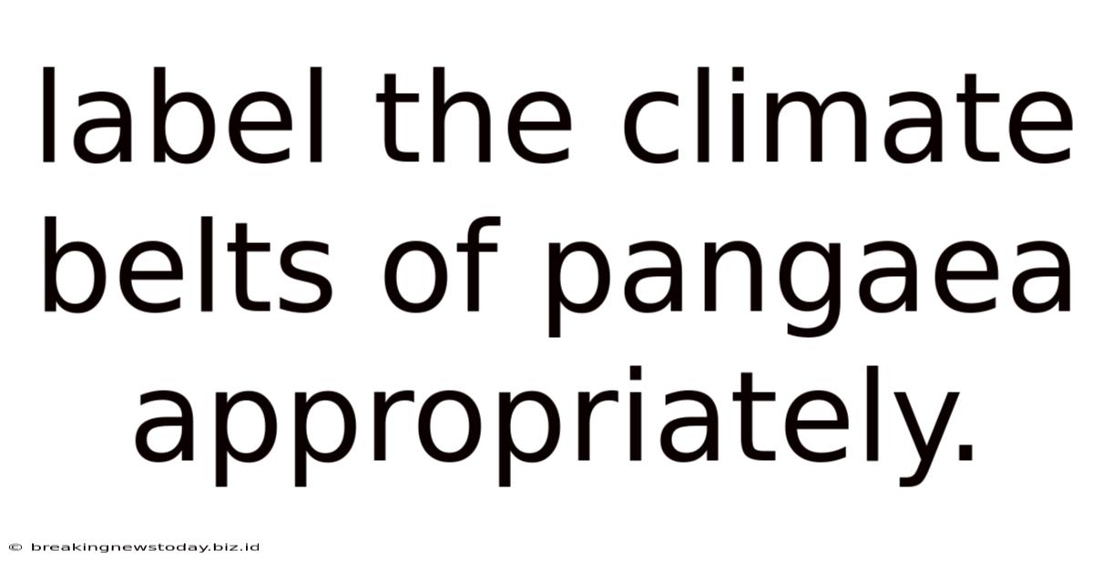 Label The Climate Belts Of Pangaea Appropriately.