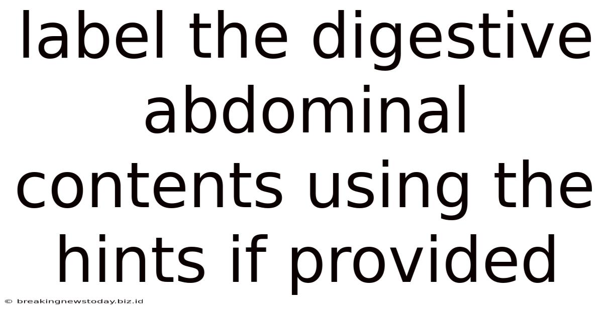 Label The Digestive Abdominal Contents Using The Hints If Provided