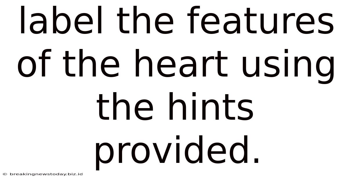 Label The Features Of The Heart Using The Hints Provided.