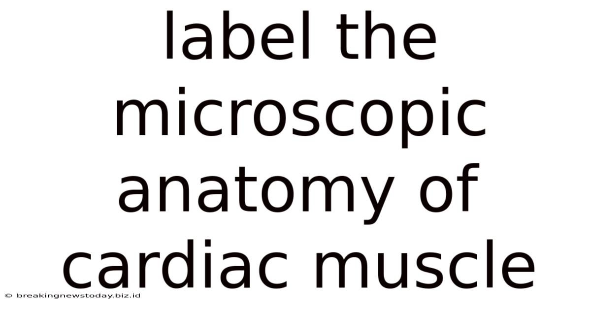 Label The Microscopic Anatomy Of Cardiac Muscle