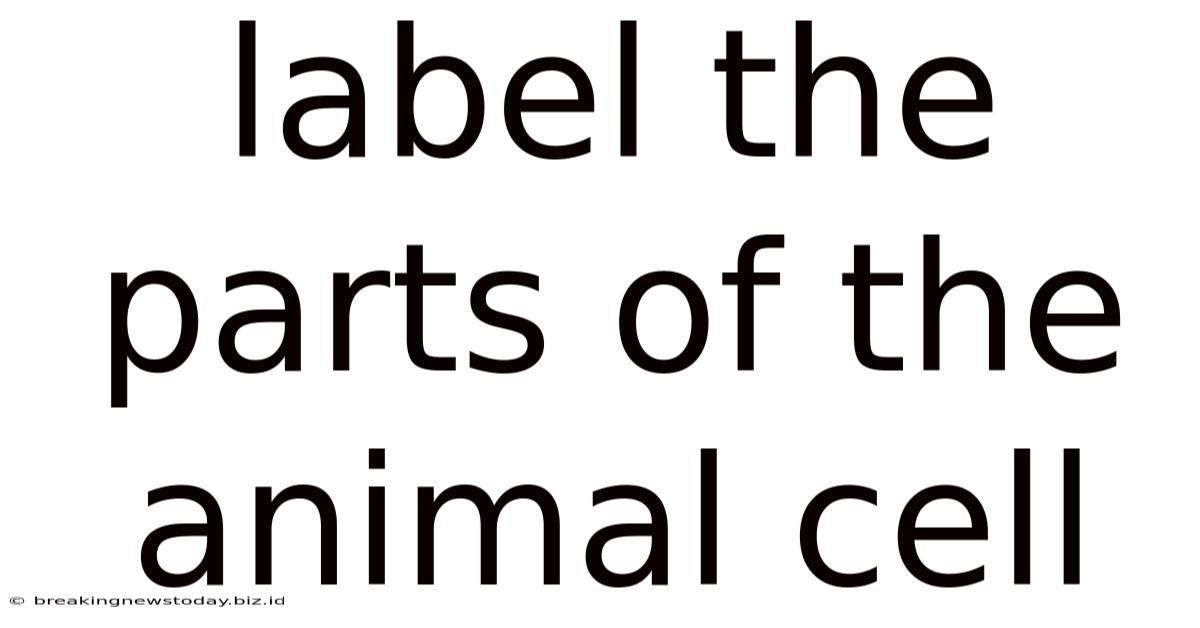 Label The Parts Of The Animal Cell