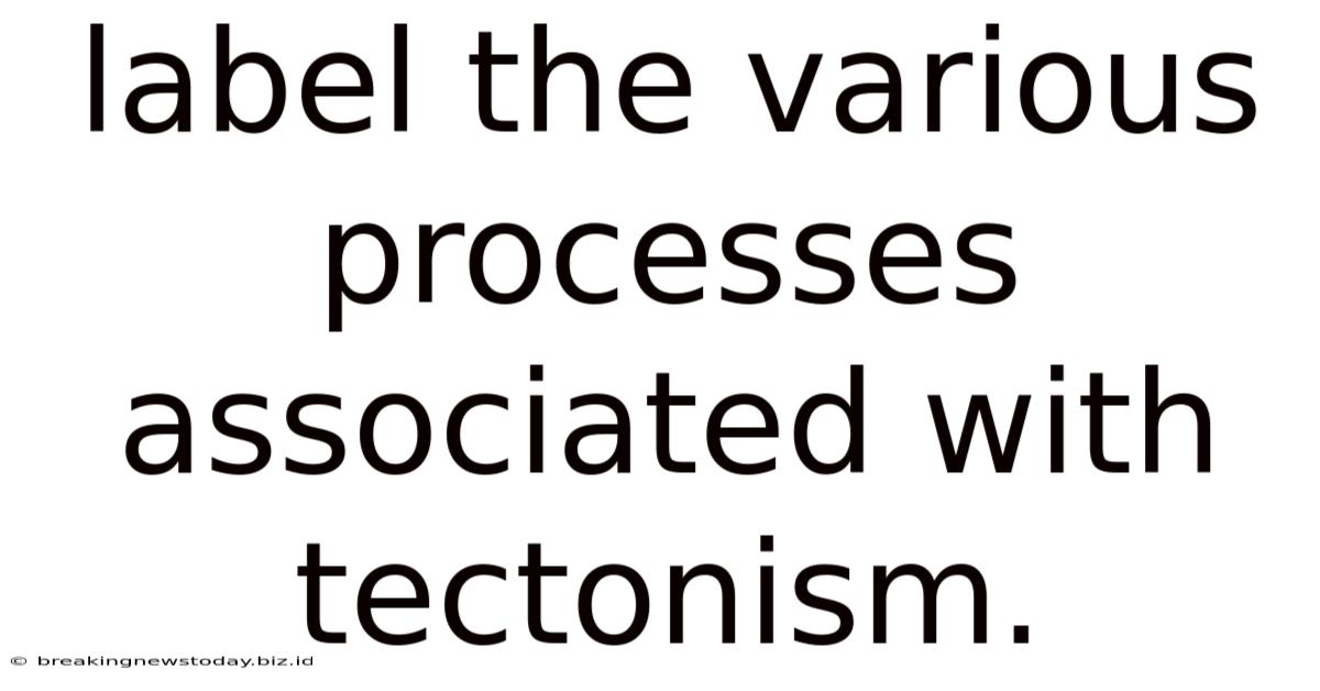 Label The Various Processes Associated With Tectonism.