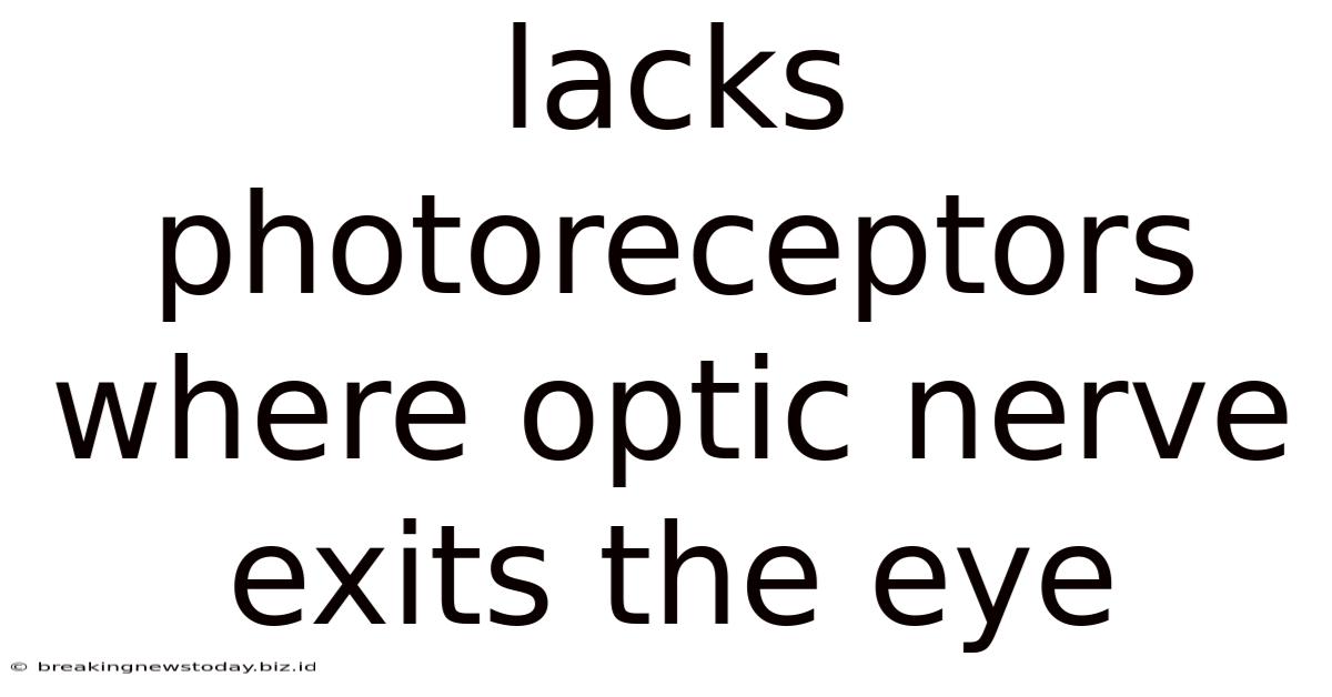 Lacks Photoreceptors Where Optic Nerve Exits The Eye