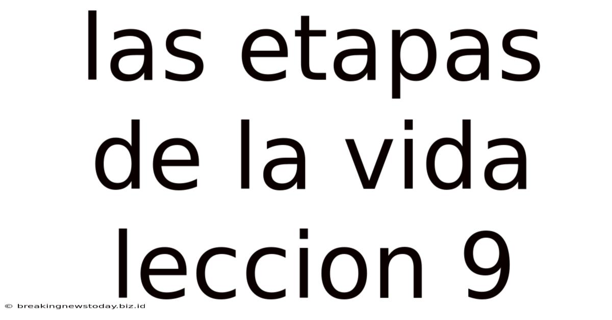 Las Etapas De La Vida Leccion 9