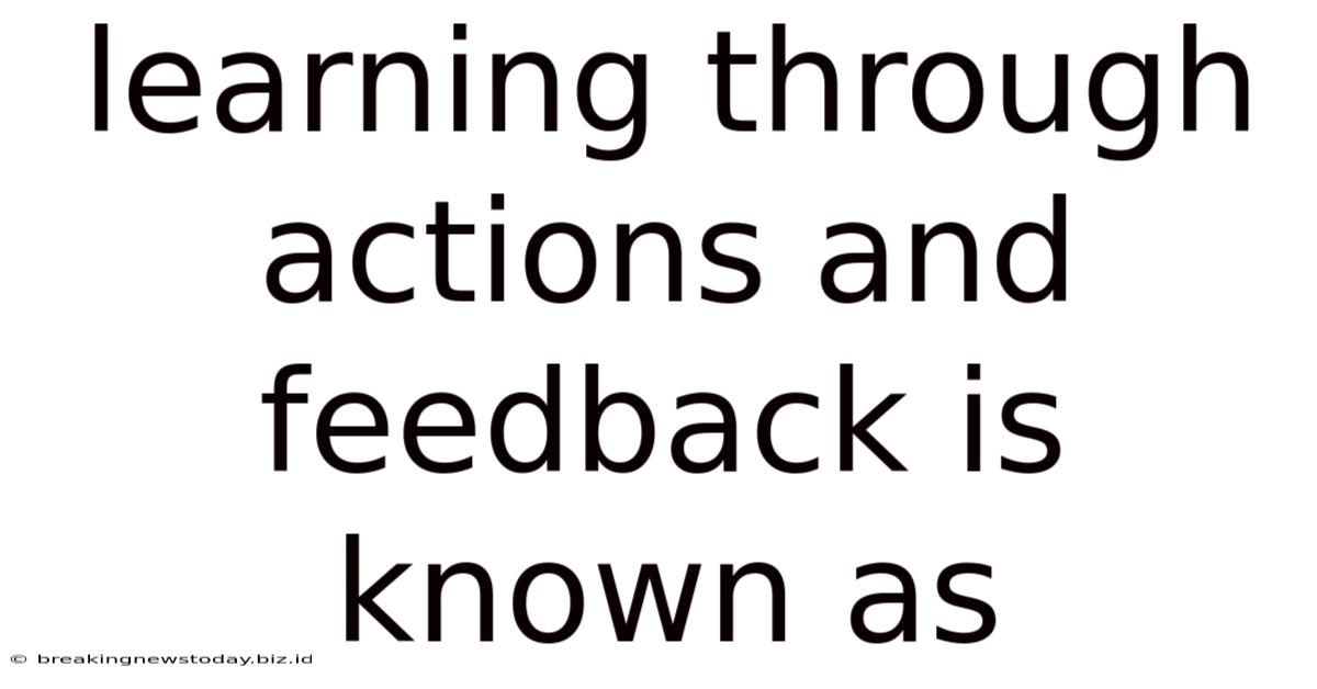 Learning Through Actions And Feedback Is Known As