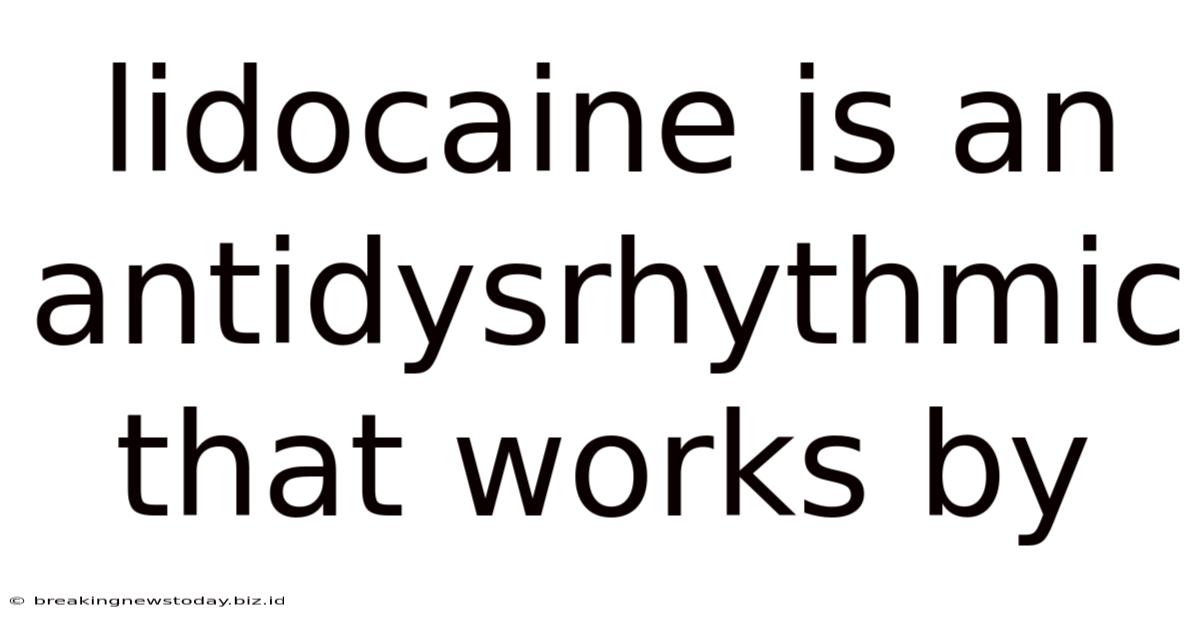 Lidocaine Is An Antidysrhythmic That Works By