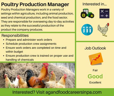 List And Describe A Career In The Poultry Industry.