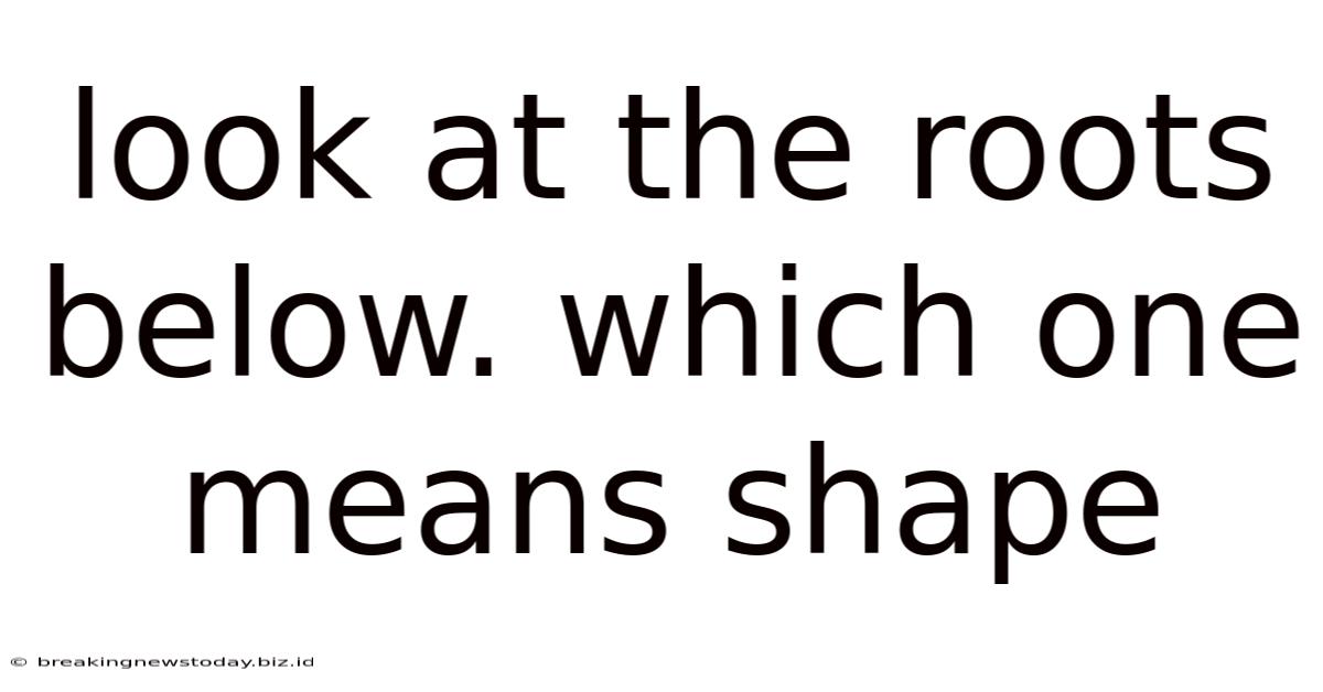 Look At The Roots Below. Which One Means Shape