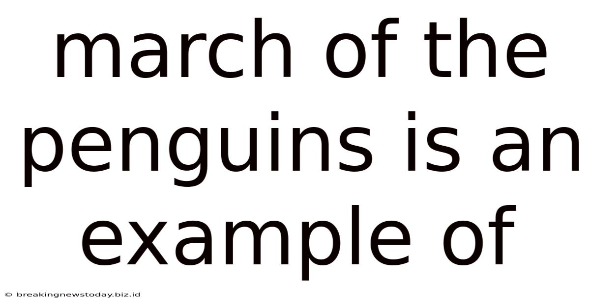 March Of The Penguins Is An Example Of