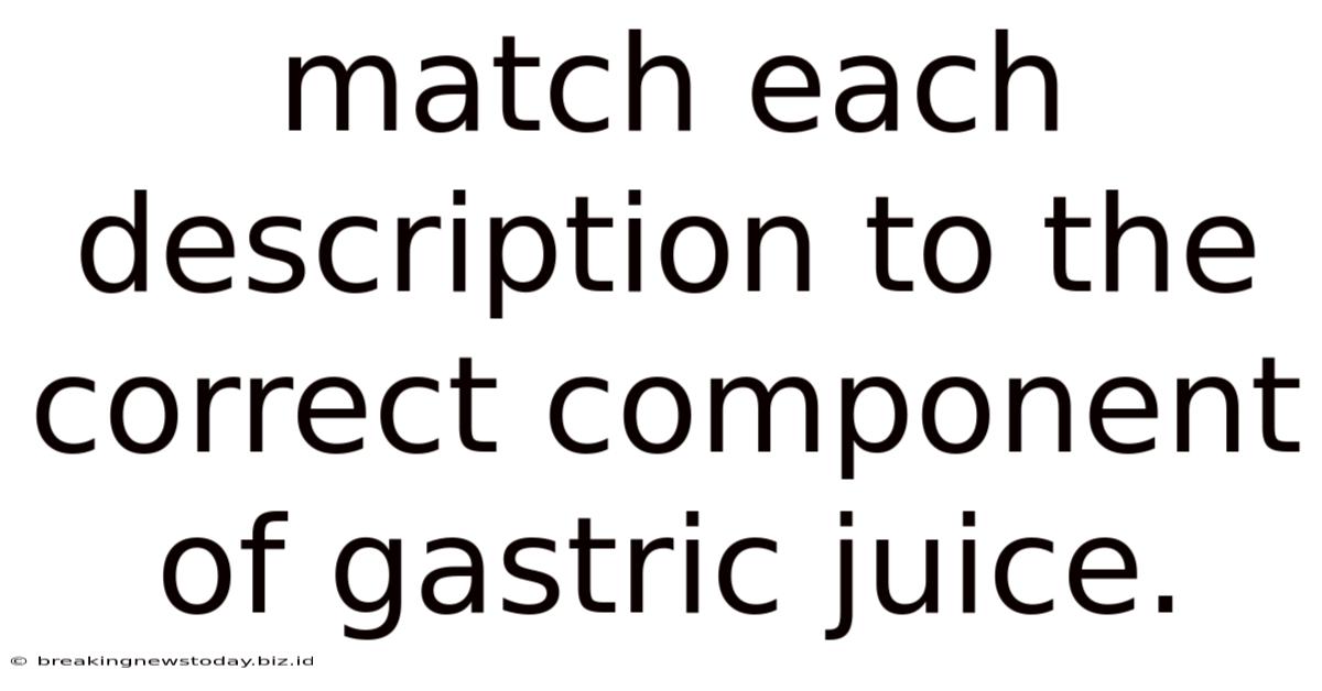 Match Each Description To The Correct Component Of Gastric Juice.