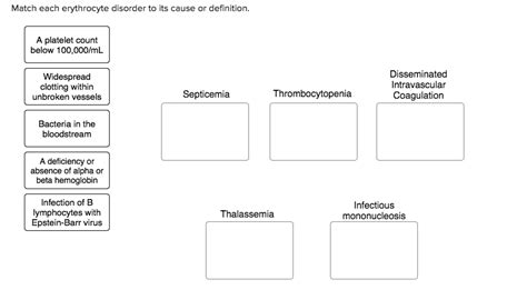 Match Each Erythrocyte Disorder To Its Cause Or Definition