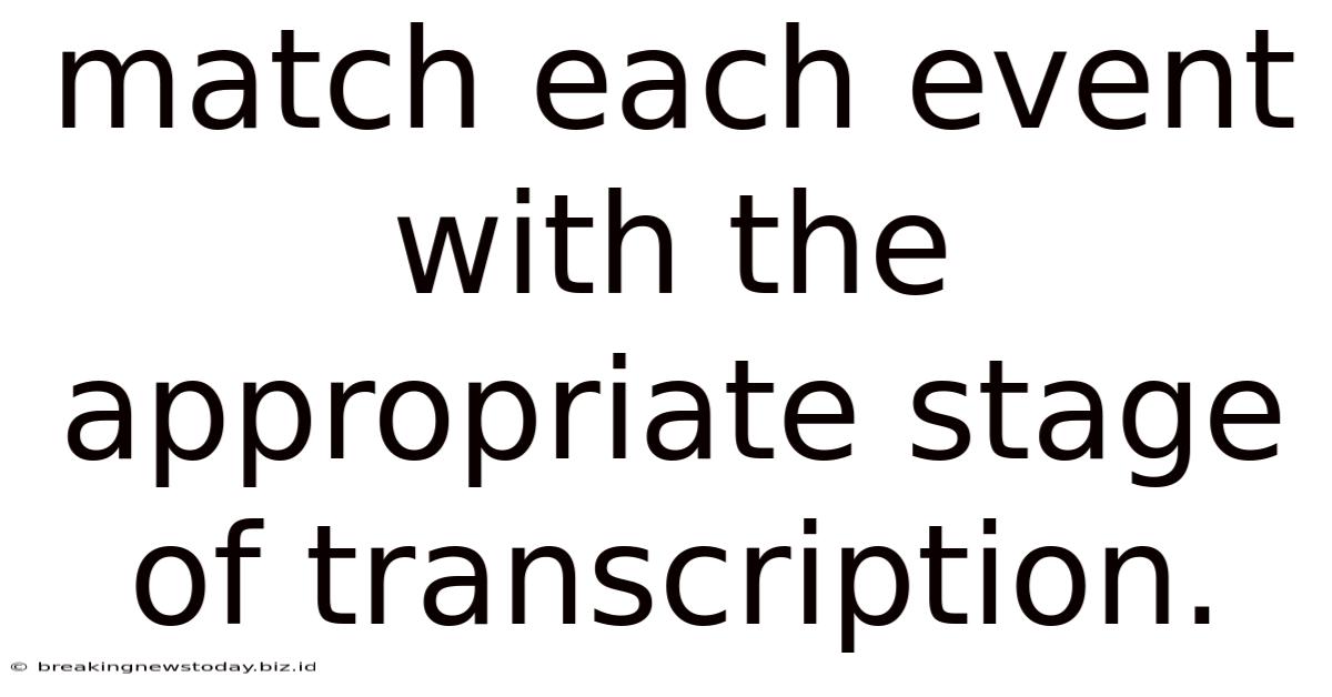 Match Each Event With The Appropriate Stage Of Transcription.