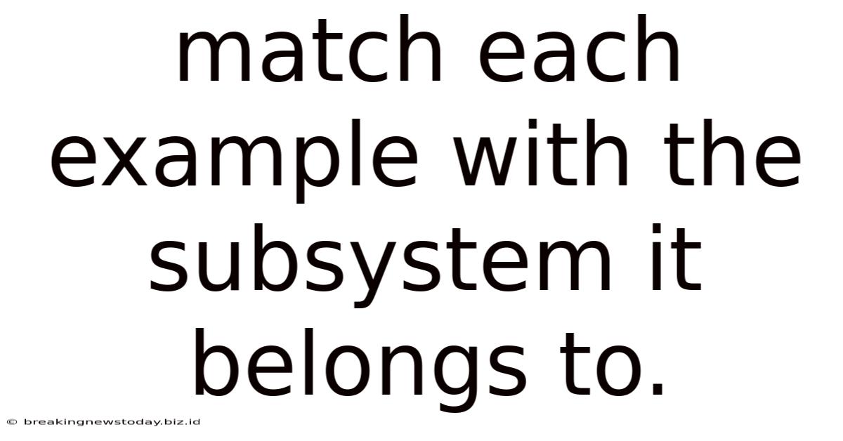 Match Each Example With The Subsystem It Belongs To.