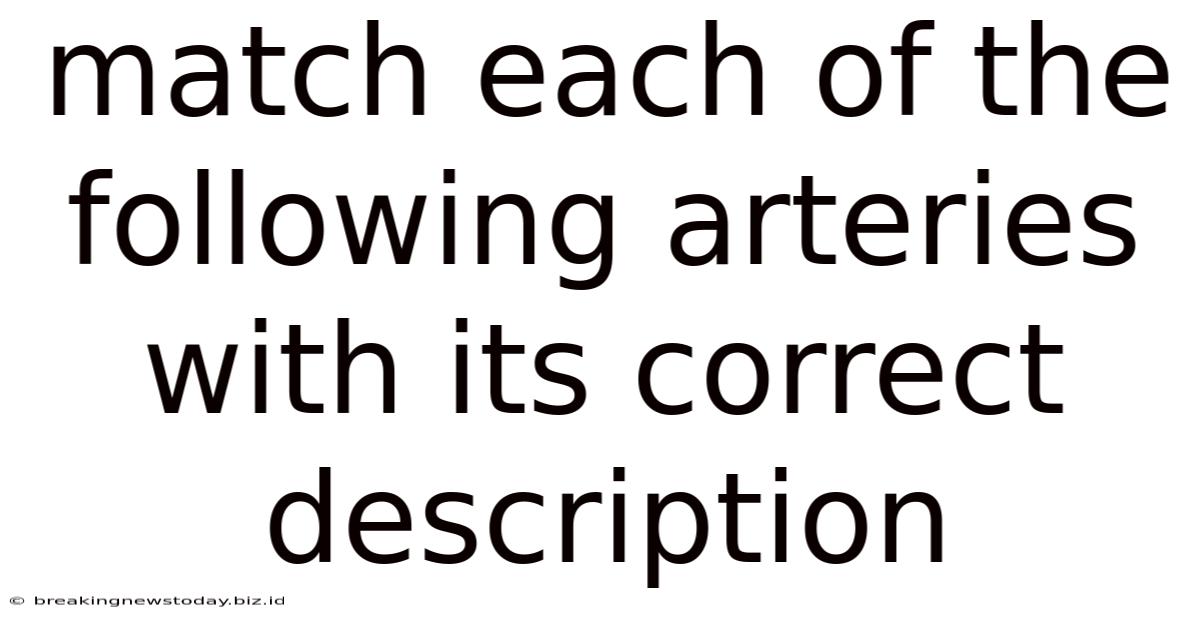 Match Each Of The Following Arteries With Its Correct Description