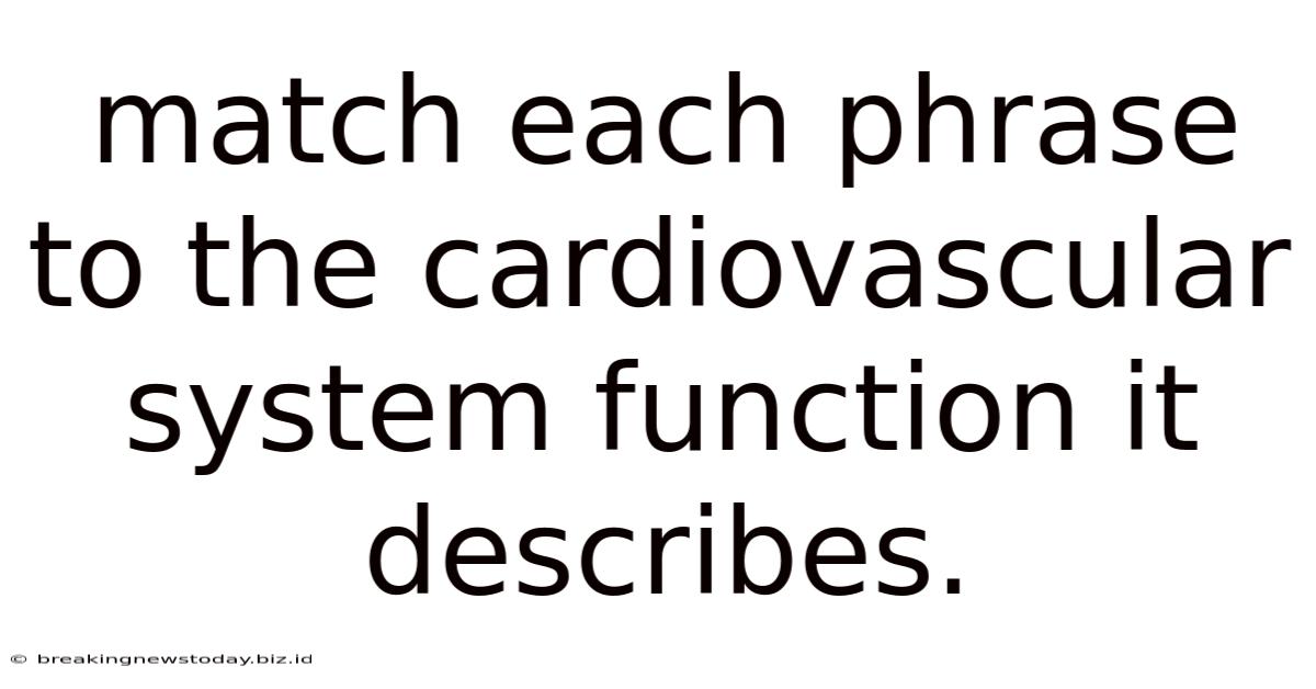 Match Each Phrase To The Cardiovascular System Function It Describes.