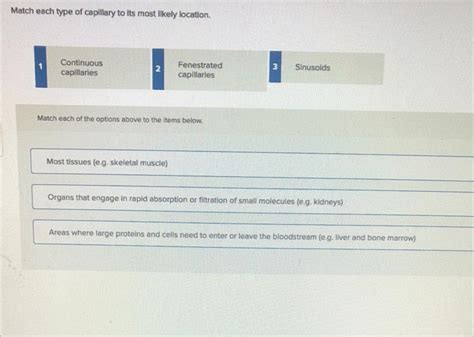 Match Each Type Of Capillary To Its Most Likely Location.