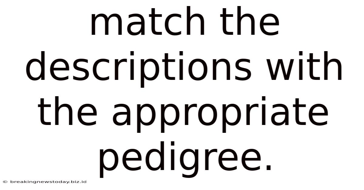 Match The Descriptions With The Appropriate Pedigree.