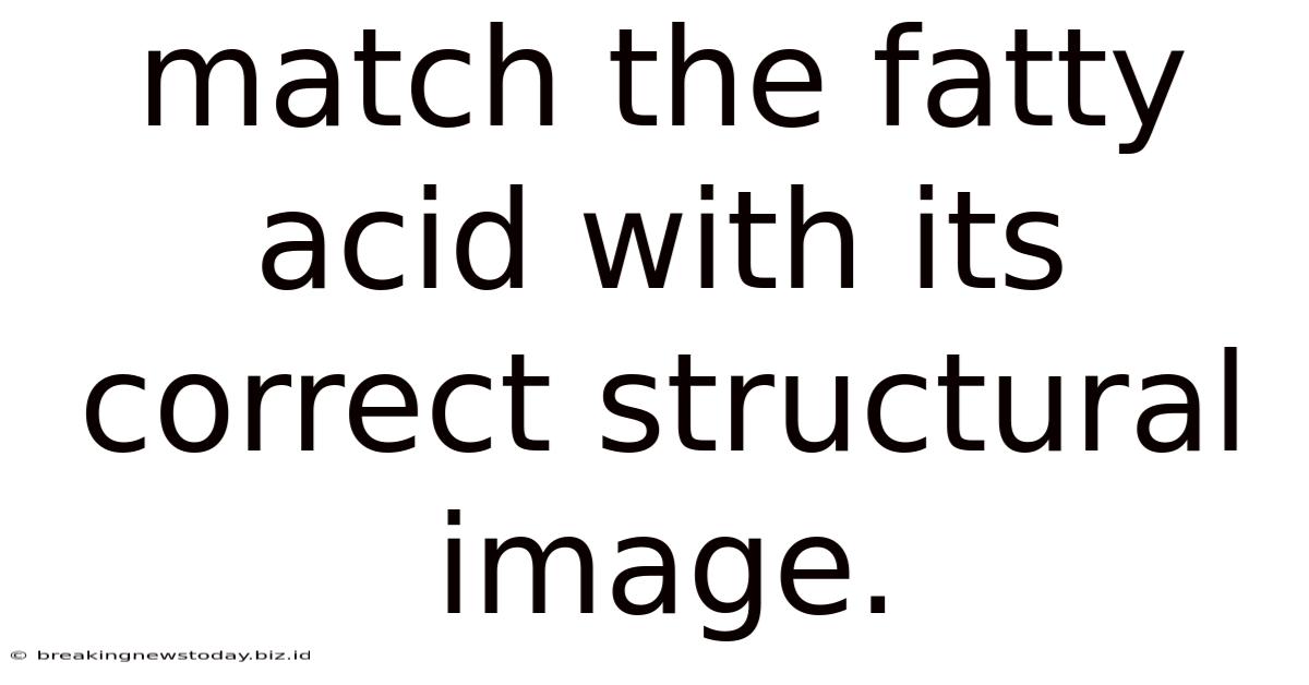Match The Fatty Acid With Its Correct Structural Image.