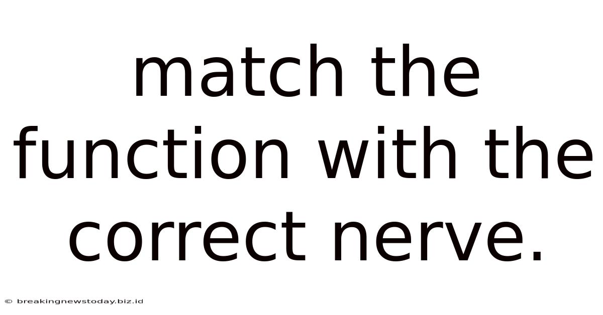 Match The Function With The Correct Nerve.