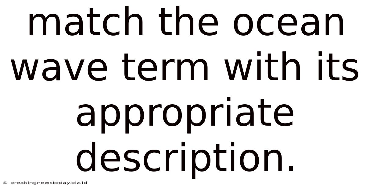 Match The Ocean Wave Term With Its Appropriate Description.