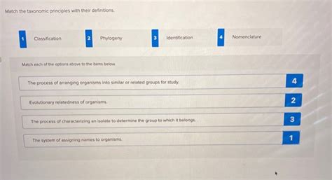 Match The Taxonomic Principles With Their Definitions