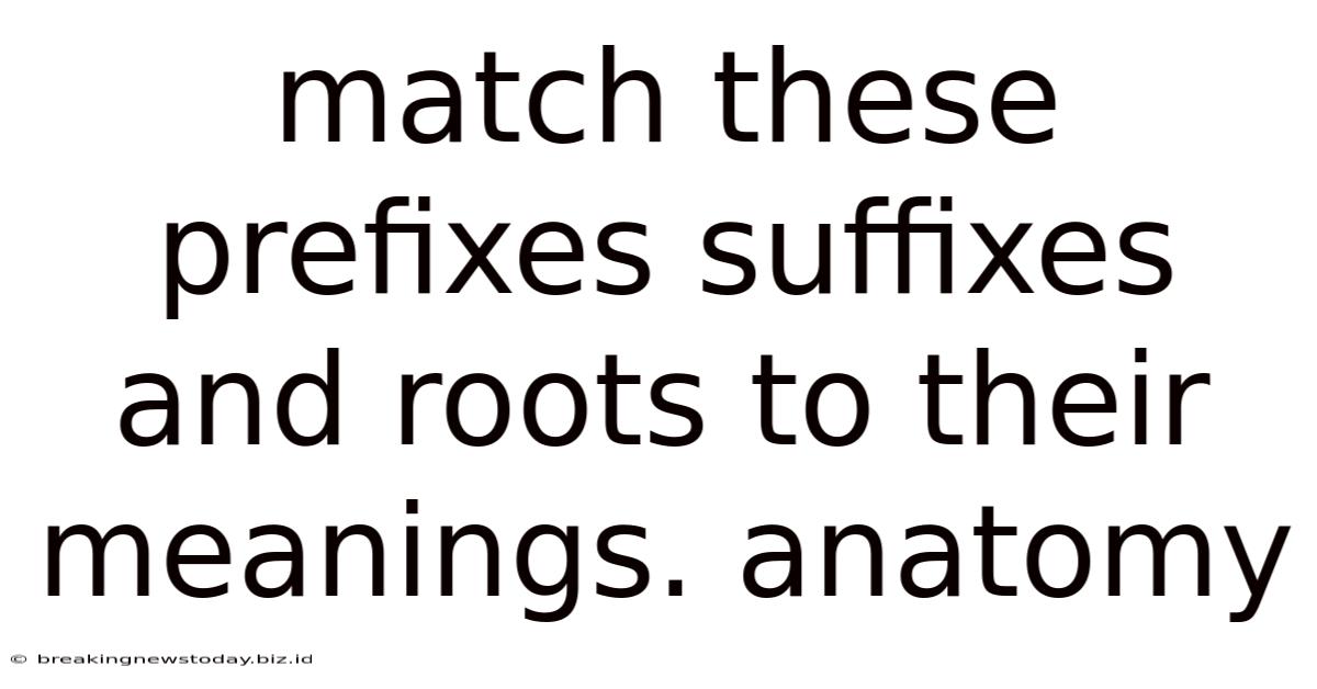 Match These Prefixes Suffixes And Roots To Their Meanings. Anatomy
