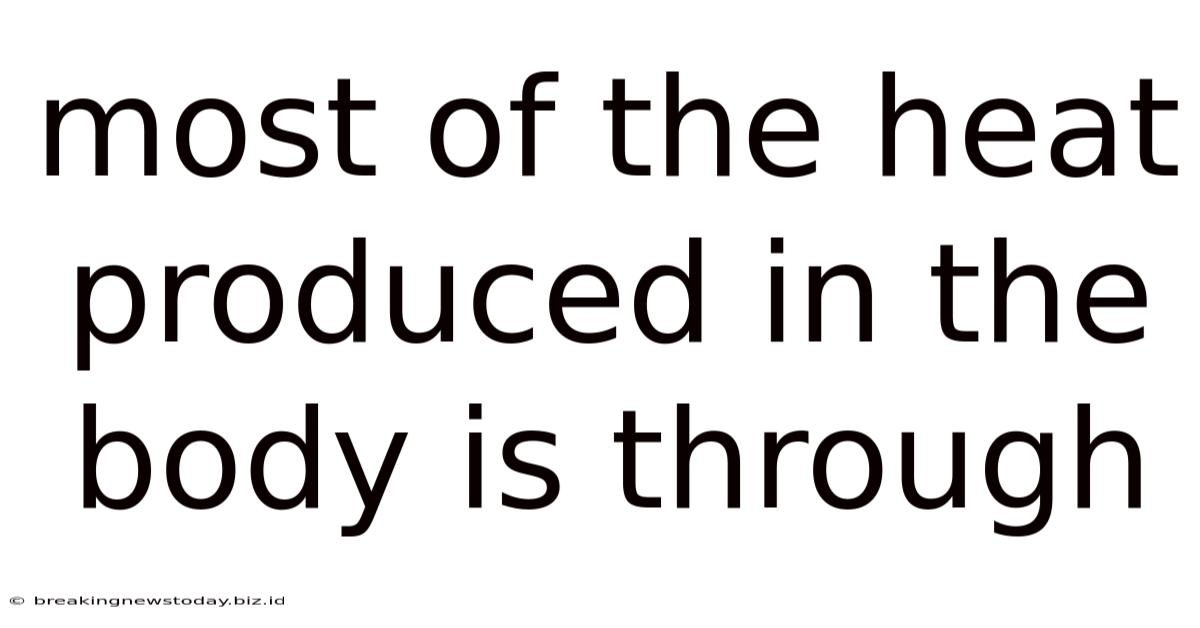 Most Of The Heat Produced In The Body Is Through