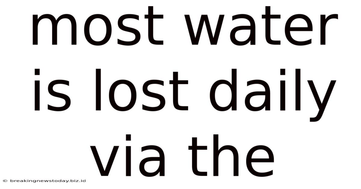 Most Water Is Lost Daily Via The