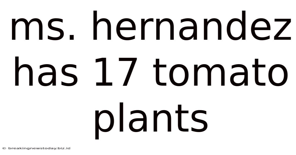 Ms. Hernandez Has 17 Tomato Plants