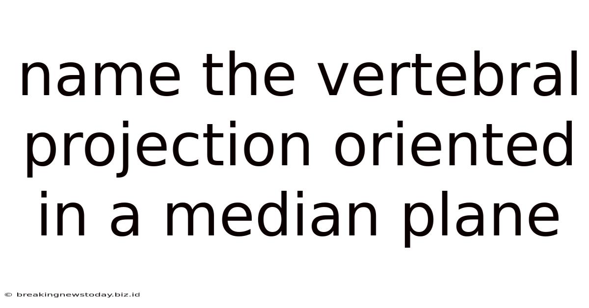 Name The Vertebral Projection Oriented In A Median Plane