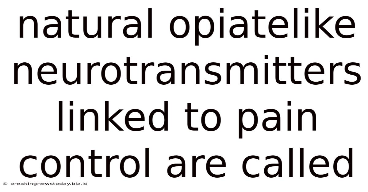Natural Opiatelike Neurotransmitters Linked To Pain Control Are Called