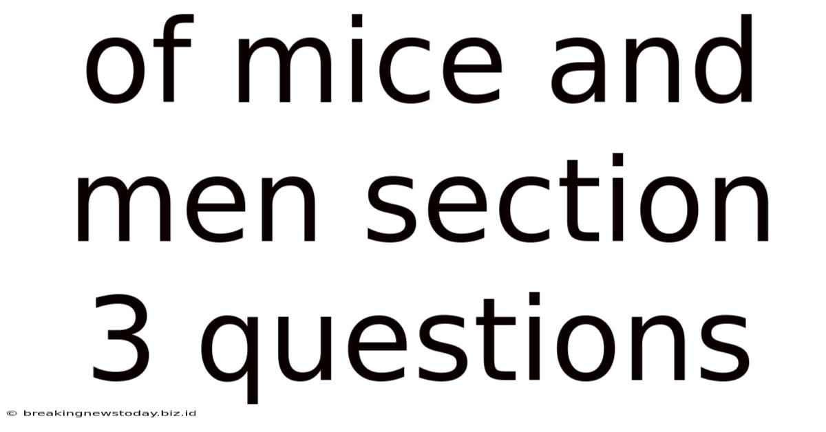 Of Mice And Men Section 3 Questions